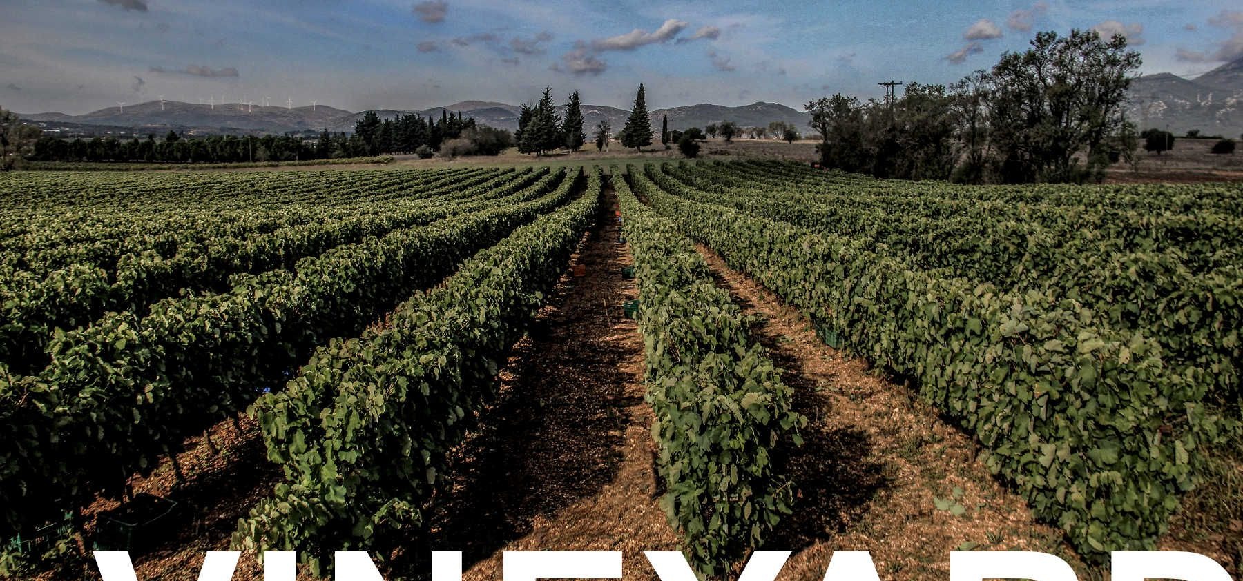 Moropoulos — winery