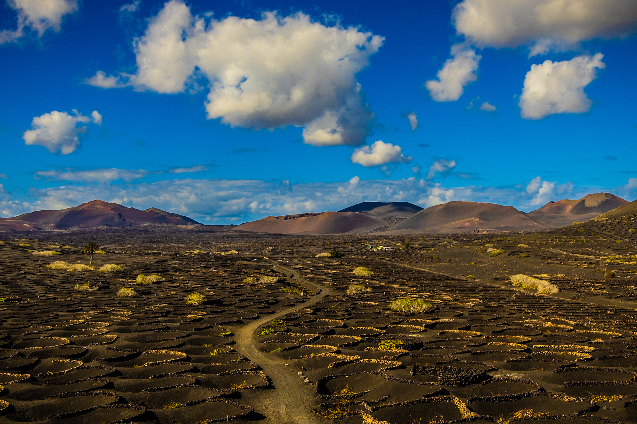スペイン・ランサローテの火山畑